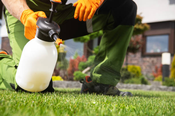 Best Affordable Pest Control Services  in Woodson Terrace, MO