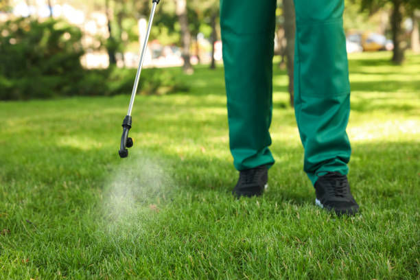 Best Pest Inspection Near Me  in Woodson Terrace, MO