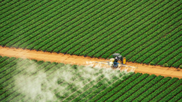 Best Termite Control Services  in Woodson Terrace, MO