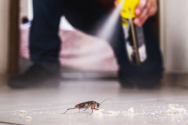 Woodson Terrace, MO Pest Control Company